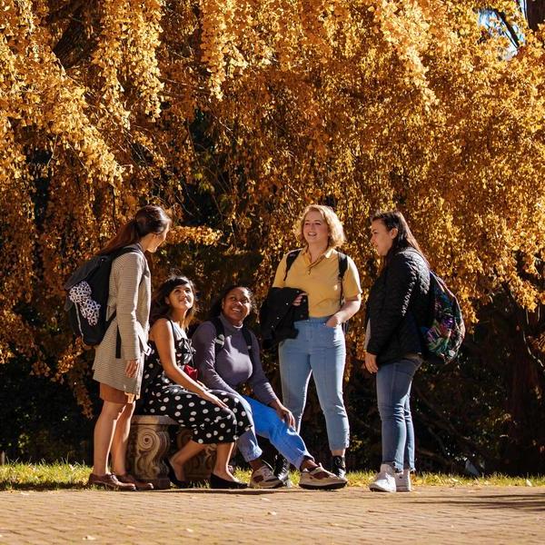 一群学生聚集在校园一棵大树下的长凳旁.